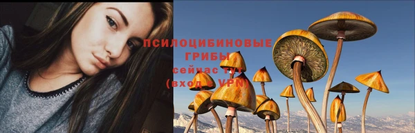 гидропоника Михайловка