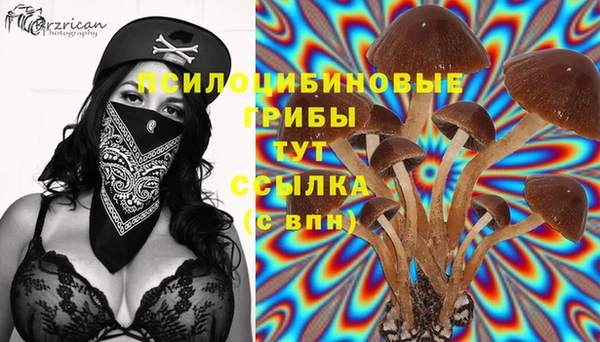 гидропоника Михайловка