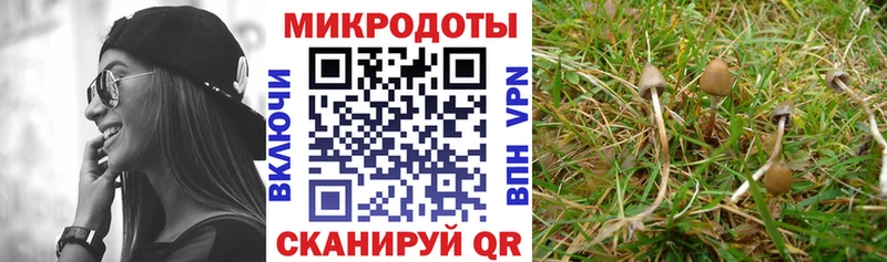 Галлюциногенные грибы MAGIC MUSHROOMS  Сафоново 