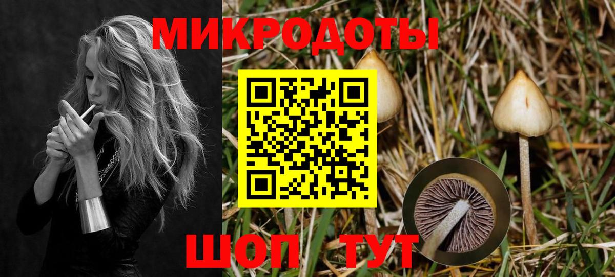 Псилоцибиновые грибы мухоморы  Галлюциногенные грибы Cubensis  Сафоново 